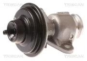 AGR-Ventil TRISCAN 8813 44015