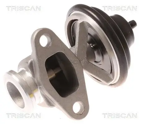 AGR-Ventil TRISCAN 8813 44015 Bild AGR-Ventil TRISCAN 8813 44015