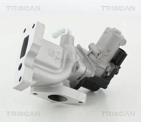 AGR-Ventil TRISCAN 8813 44031