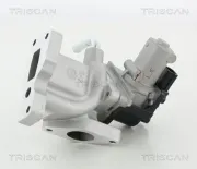 AGR-Ventil TRISCAN 8813 44031