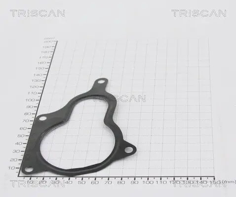 Dichtung TRISCAN 8813 99116
