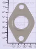 Dichtung TRISCAN 8813 99145