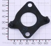 Dichtung TRISCAN 8813 99167