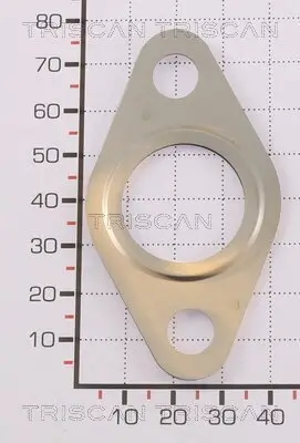 Dichtung TRISCAN 8813 99175