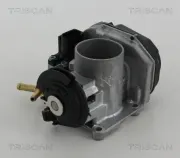 Drosselklappenstutzen TRISCAN 8820 29013
