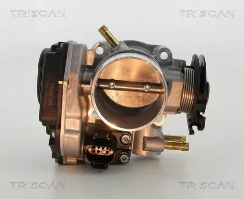 Drosselklappenstutzen TRISCAN 8820 29021 Bild Drosselklappenstutzen TRISCAN 8820 29021
