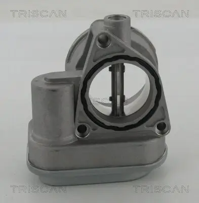 Drosselklappenstutzen TRISCAN 8820 29029 Bild Drosselklappenstutzen TRISCAN 8820 29029