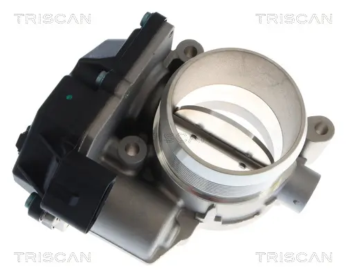 Drosselklappenstutzen TRISCAN 8820 29040