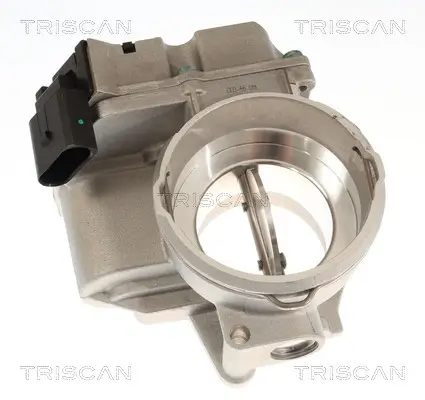 Drosselklappenstutzen TRISCAN 8820 29045