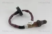 Lambdasonde TRISCAN 8845 10013