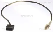 Lambdasonde vor Katalysator TRISCAN 8845 13099