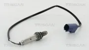 Lambdasonde nach Katalysator vor Katalysator TRISCAN 8845 14514