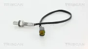 Lambdasonde vor Katalysator TRISCAN 8845 21008