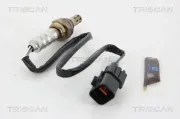 Lambdasonde nach Katalysator vor Katalysator TRISCAN 8845 21064