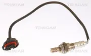 Lambdasonde nach Katalysator vor Katalysator TRISCAN 8845 21069