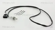 Lambdasonde TRISCAN 8845 29031