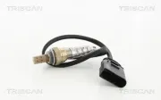 Lambdasonde TRISCAN 8845 29095