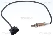 Lambdasonde TRISCAN 8845 29138