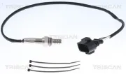 Lambdasonde TRISCAN 8845 29185