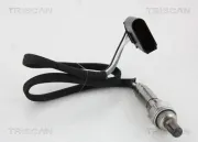 Lambdasonde TRISCAN 8845 29197