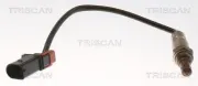Lambdasonde TRISCAN 8845 29213
