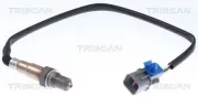 Lambdasonde TRISCAN 8845 43009