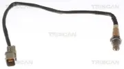 Lambdasonde nach Katalysator vor Katalysator TRISCAN 8845 43134