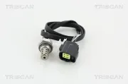 Lambdasonde vor Katalysator TRISCAN 8845 50130