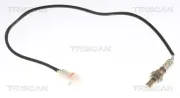 Lambdasonde TRISCAN 8845 69023