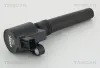 Zündspule TRISCAN 8860 10032