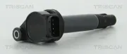 Zündspule TRISCAN 8860 13035