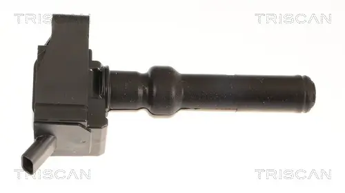 Zündspule TRISCAN 8860 16041