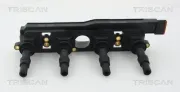 Zündspule TRISCAN 8860 24010