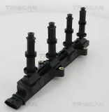 Zündspule TRISCAN 8860 24016