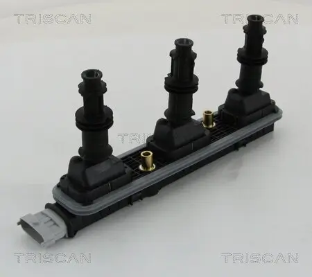 Zündspule TRISCAN 8860 24041