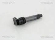 Zündspule TRISCAN 8860 27006