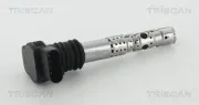 Zündspule TRISCAN 8860 29020