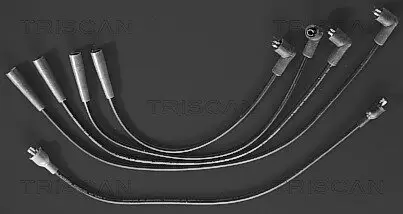 Zündleitungssatz TRISCAN 8860 4003