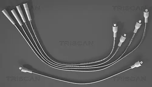 Zündleitungssatz TRISCAN 8860 4008