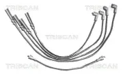 Zündleitungssatz TRISCAN 8860 4027