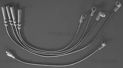 Zündleitungssatz TRISCAN 8860 4119