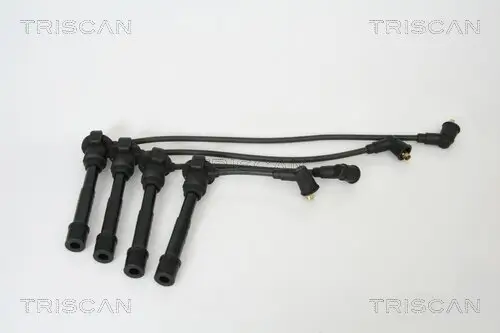 Zündleitungssatz TRISCAN 8860 4204