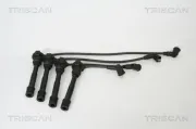 Zündleitungssatz TRISCAN 8860 4204