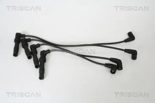 Zündleitungssatz TRISCAN 8860 4207