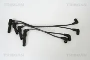 Zündleitungssatz TRISCAN 8860 4207