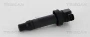 Zündspule TRISCAN 8860 43009