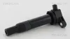 Zündspule TRISCAN 8860 43010