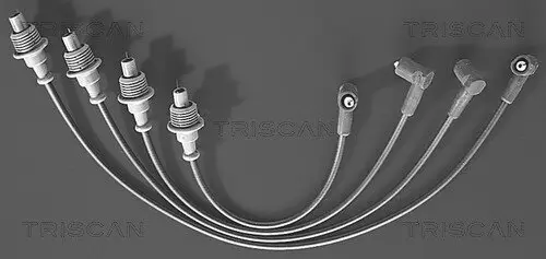 Zündleitungssatz TRISCAN 8860 4331