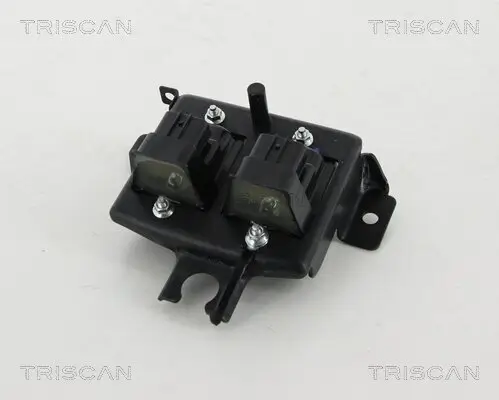 Zündspule TRISCAN 8860 50019