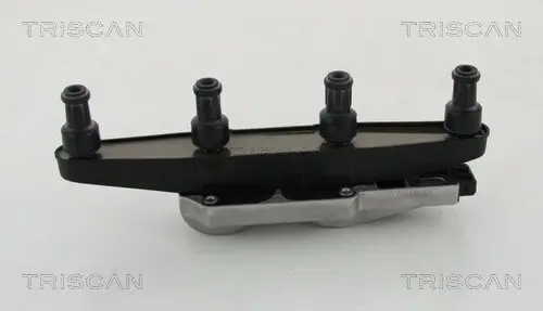 Zündspule TRISCAN 8860 67001